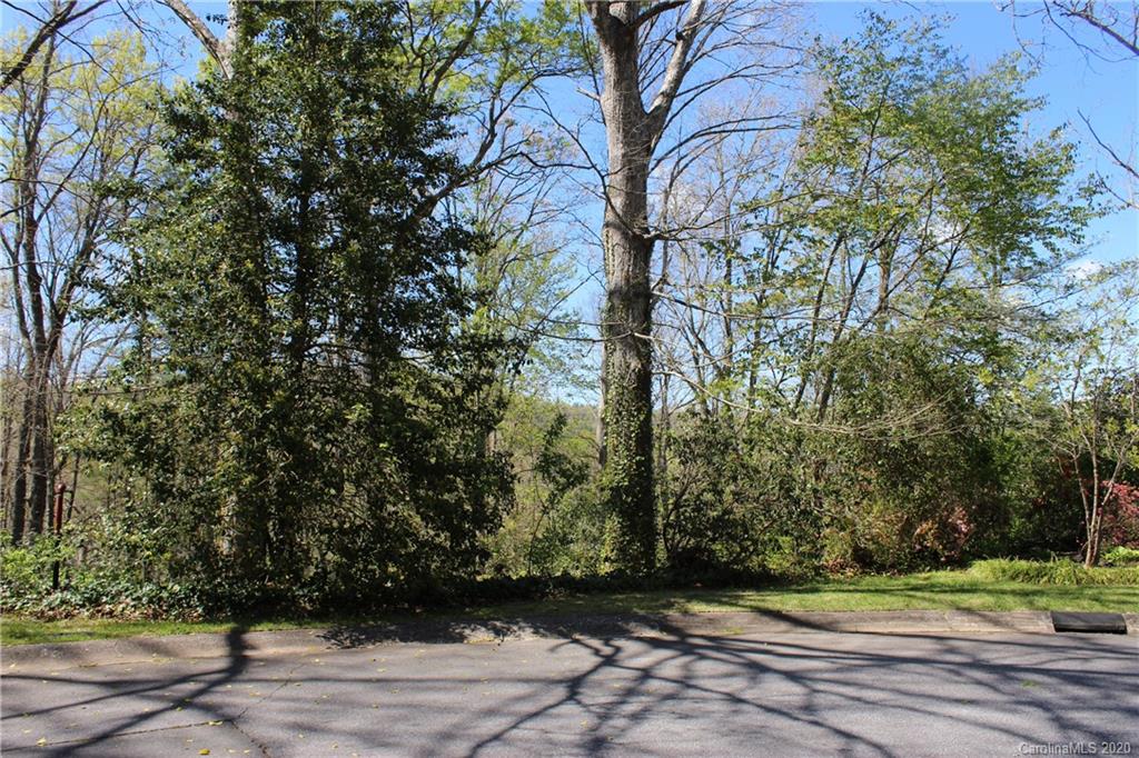 Tbd Forest Ridge Avenue, Unit 7 Brevard, NC 28712 - Photo 3 of 13 Gallery Image 3