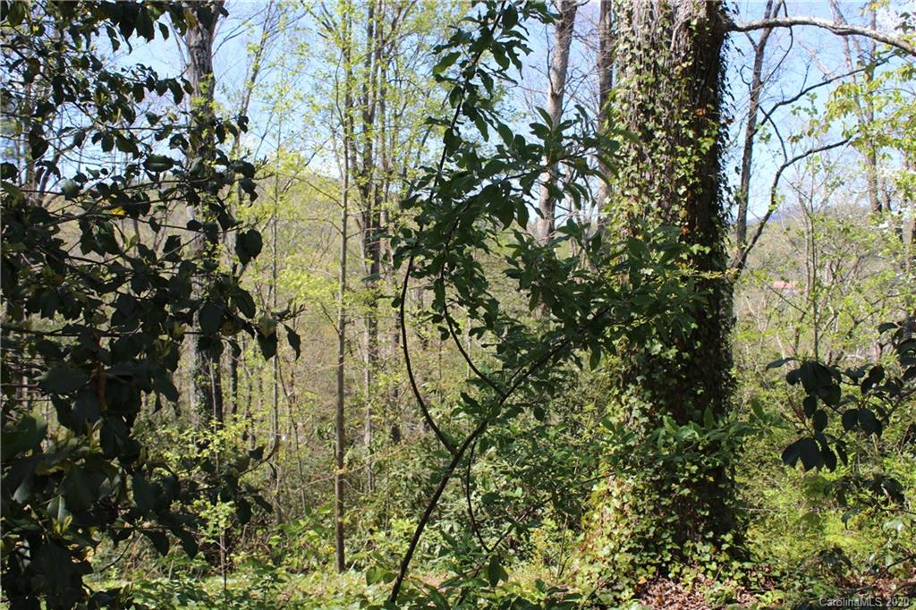 Tbd Forest Ridge Avenue, Unit 7 Brevard, NC 28712 - Photo 4 of 13 Gallery Image 4
