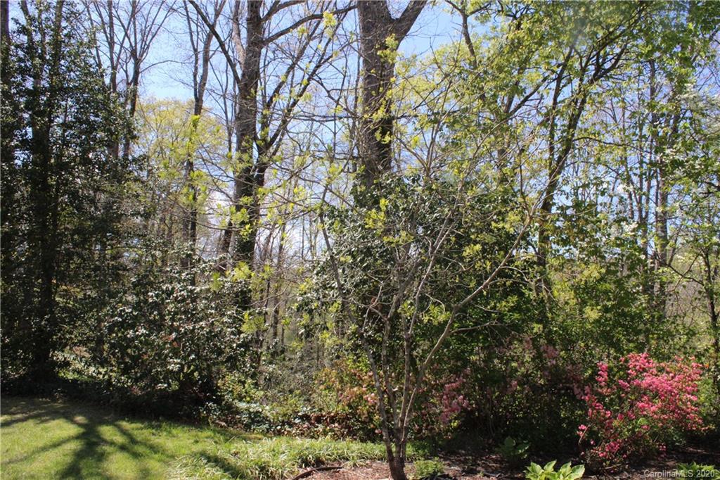 Tbd Forest Ridge Avenue, Unit 7 Brevard, NC 28712 - Photo 8 of 13 Gallery Image 8