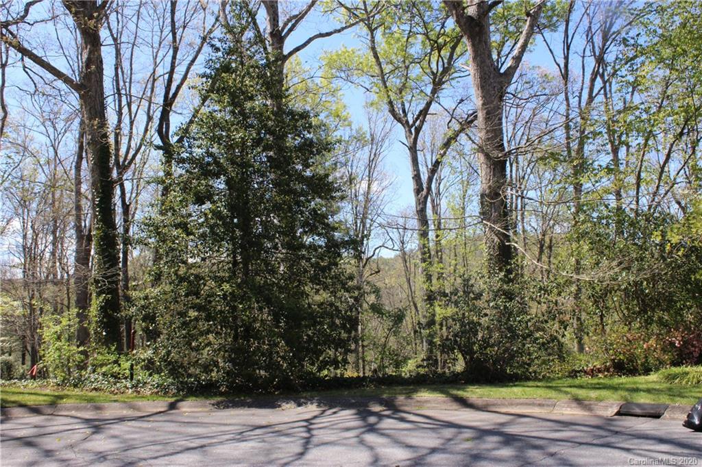 Tbd Forest Ridge Avenue, Unit 7 Brevard, NC 28712 - Photo 10 of 13 Gallery Image 10