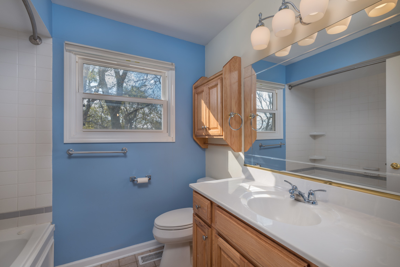 40W977 Plank Road Elgin, IL 60124 - Photo 17 of 38 a bathroom with a sink a mirror and a toilet