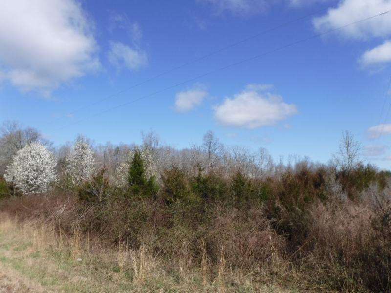 6.31 Pin Hook Road Sparta, TN 38583 - Photo 8 of 25 02262018 110