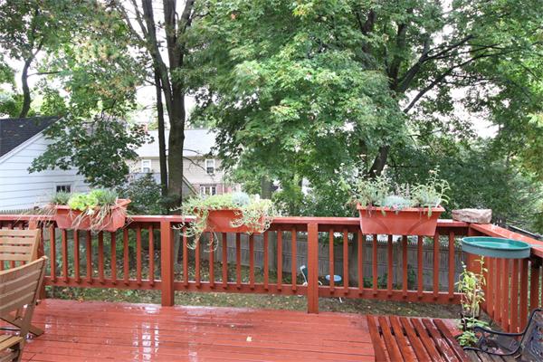 59 Edgemoor Road Belmont, MA 02478 - Photo 29 of 30