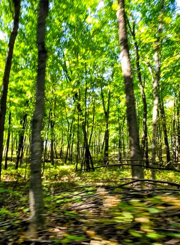 $999,900 | 81-acres 81-acres Ryan, Blue Mounds, WI 53517