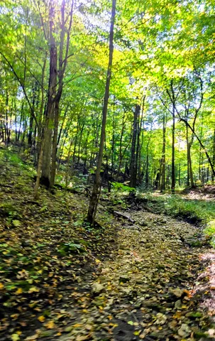 $999,900 | 81-acres 81-acres Ryan, Blue Mounds, WI 53517