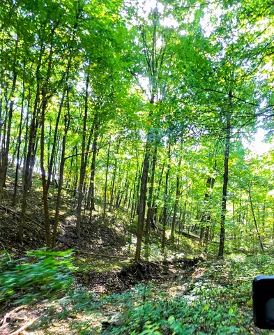 $999,900 | 81-acres 81-acres Ryan, Blue Mounds, WI 53517