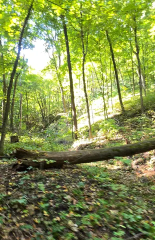 $999,900 | 81-acres 81-acres Ryan, Blue Mounds, WI 53517