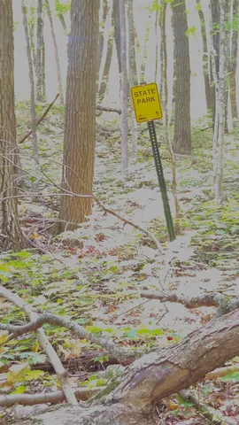 $999,900 | 81-acres 81-acres Ryan, Blue Mounds, WI 53517