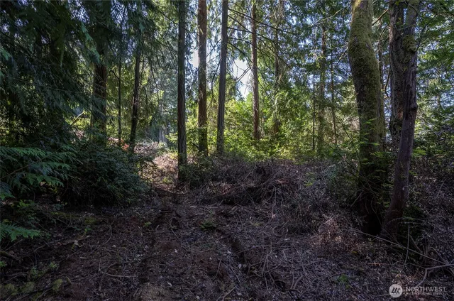 front view of a house with a tree
