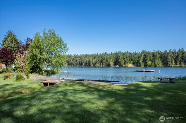 a view of a garden with plants and large trees
