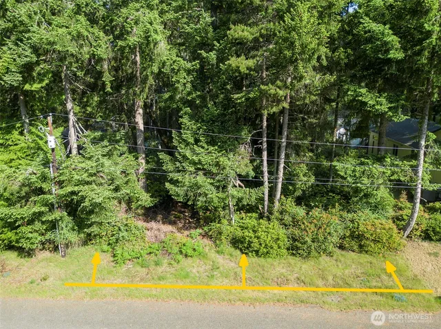 a view of a yard with plants