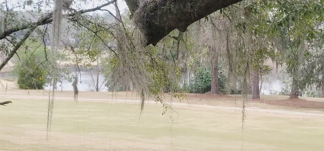 $1,295 | 2925 Par Lane, Unit D, Tallahassee, FL 32301