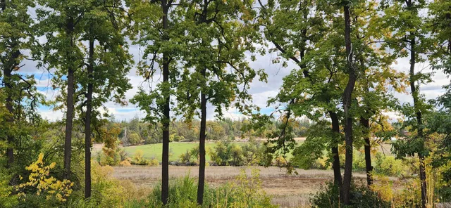 a view of a door of the house