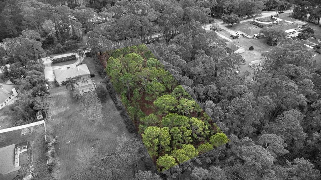 Sanctuary Avenue DeBary, FL 32713 - Photo 15 of 16