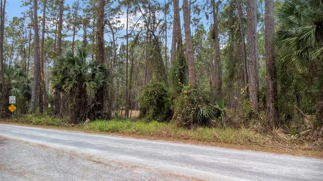 $74,900 | Sanctuary Avenue, DeBary, FL 32713