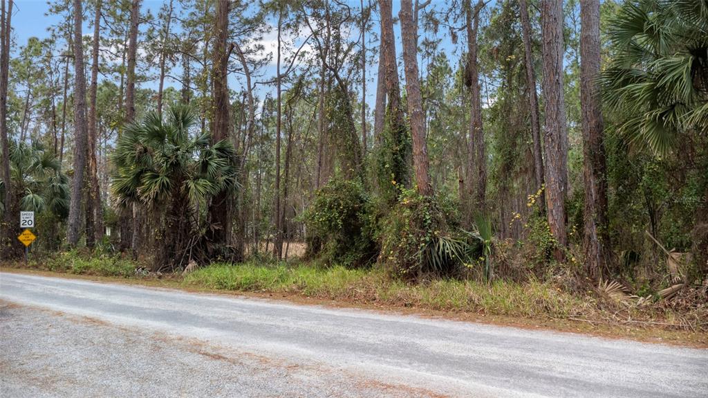 Sanctuary Avenue DeBary, FL 32713 - Photo 16 of 16