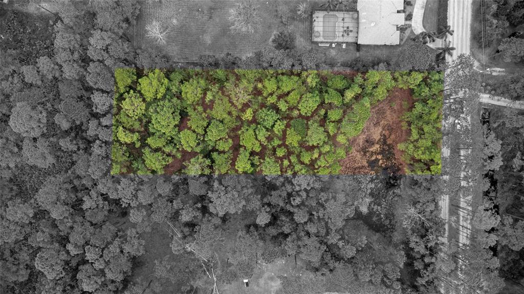 Sanctuary Avenue DeBary, FL 32713 - Photo 4 of 16