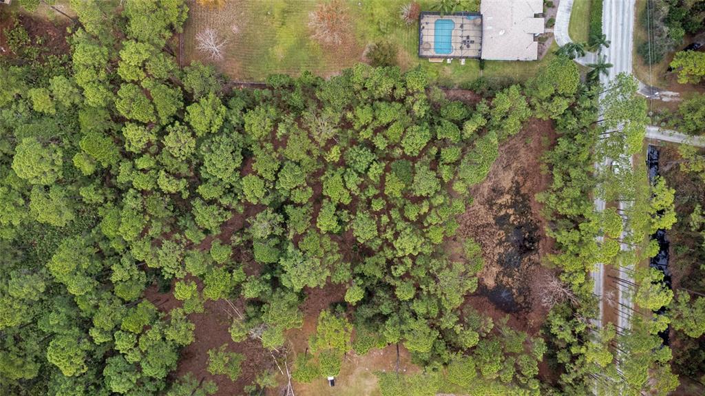 Sanctuary Avenue DeBary, FL 32713 - Photo 8 of 16