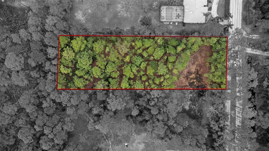 Sanctuary Avenue DeBary, FL 32713 - Photo 9 of 16