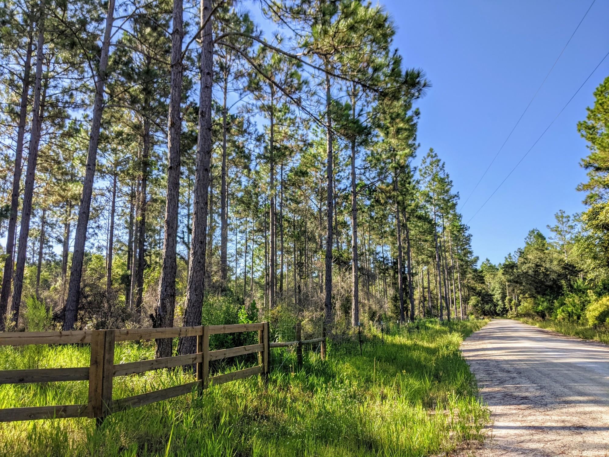 Turkey Scratch Road Monticello, FL 32344 - Photo 1 of 35 Gallery Image 1