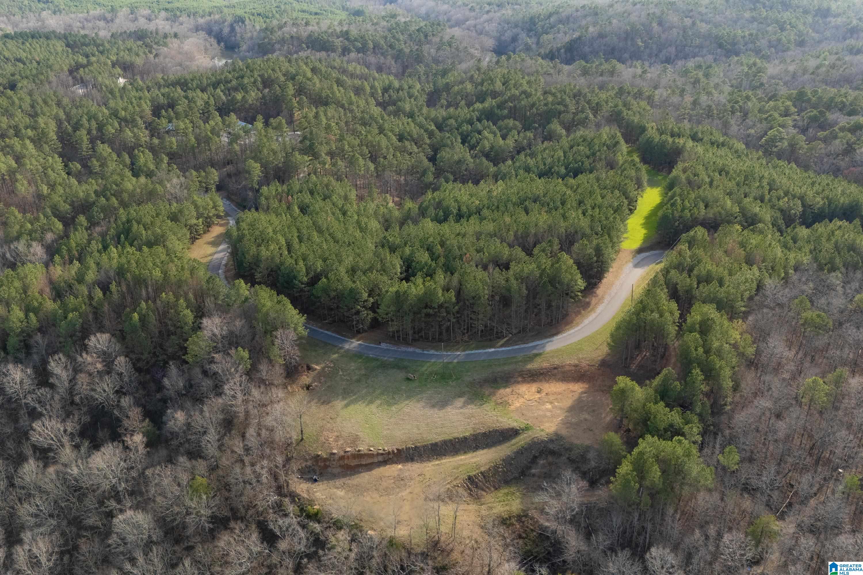 1321 Red Oak Road Helena, AL 35080 - Photo 8 of 12