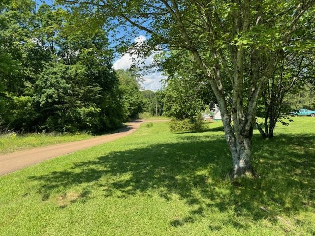 1395 Forrest Hill Road Bolivar, TN 38008 - Photo 12 of 13 Photo 12