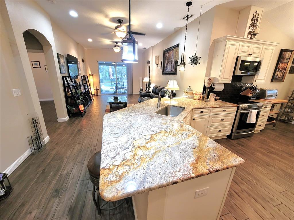 1001 Torreya Way Odessa, FL 33556 - Photo 18 of 44 a large kitchen with stainless steel appliances granite countertop a lot of counter space and wooden floor