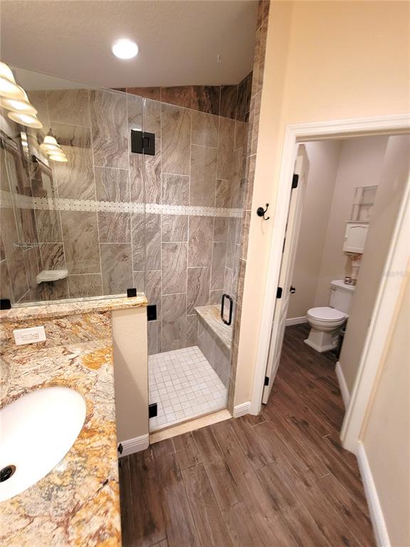 1001 Torreya Way Odessa, FL 33556 - Photo 35 of 44 a bathroom with a sink and a mirror