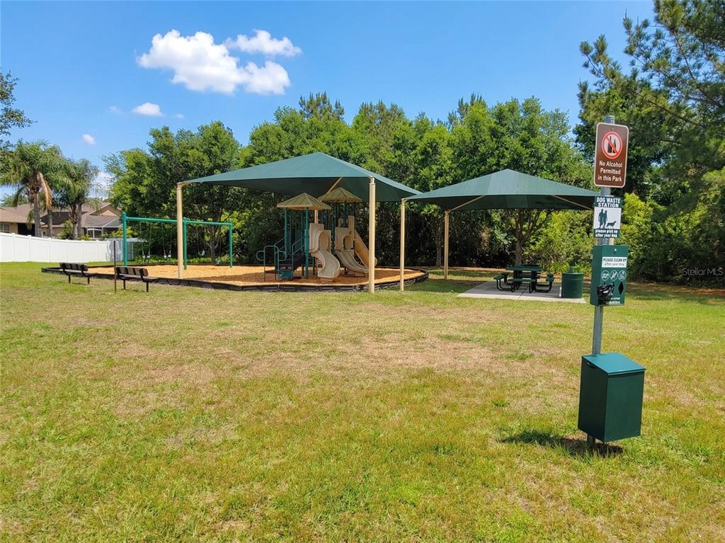 1001 Torreya Way Odessa, FL 33556 - Photo 42 of 44 a backyard of a house with table and chairs