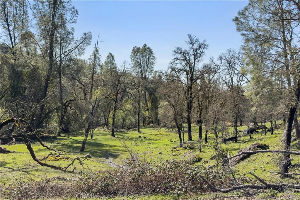 1 Sky Court Forest Ranch, CA 95942 - Photo 14 of 18
