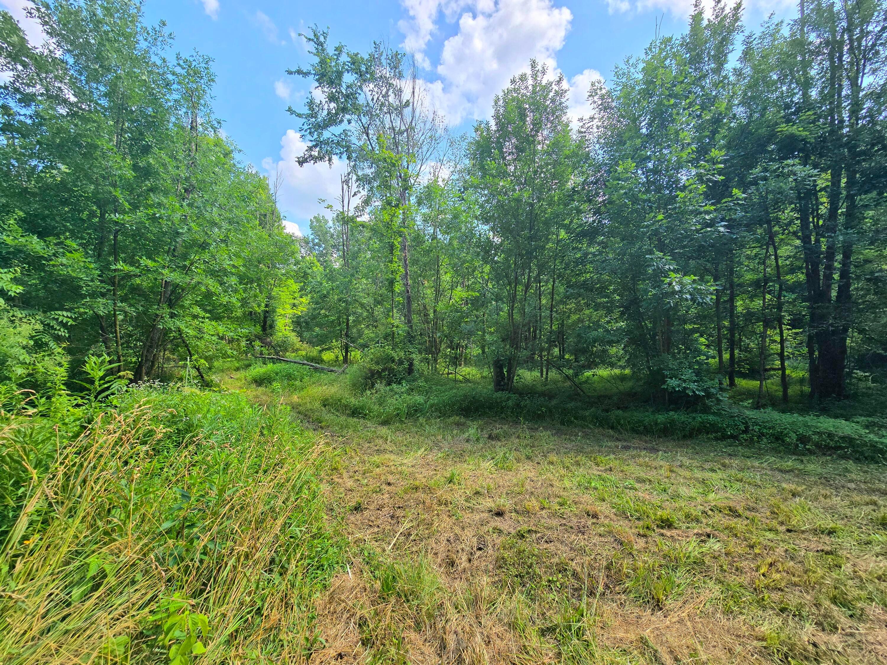 9026 Gregg Road Fredericktown, OH 43019 - Photo 11 of 17 1000062294