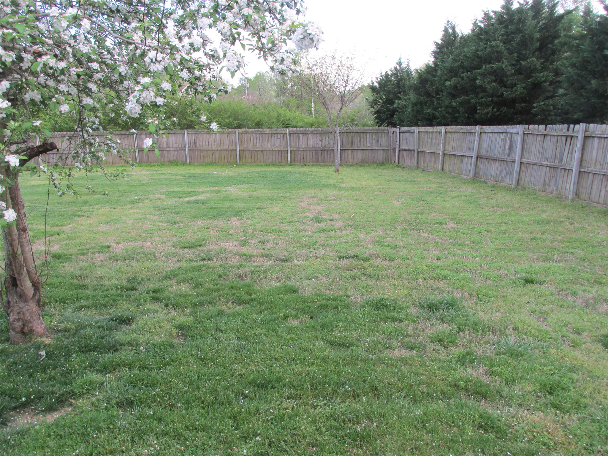 105 Tices Spring Court Dickson, TN 37055 - Photo 20 of 29 a view of a backyard with a swing