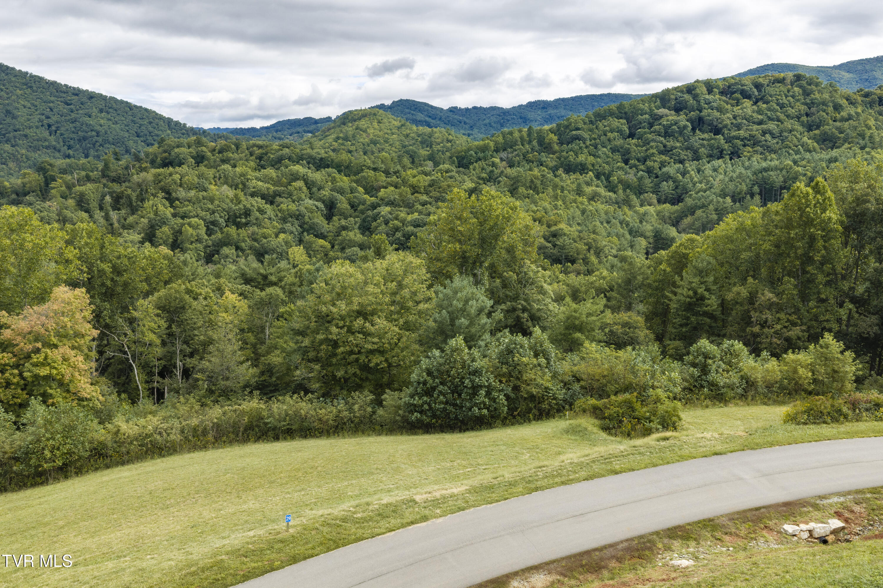Lot 29 Cowan Town Road, Unit LOT 29 Butler, TN 37640 - Photo 5 of 21 Lot29-3