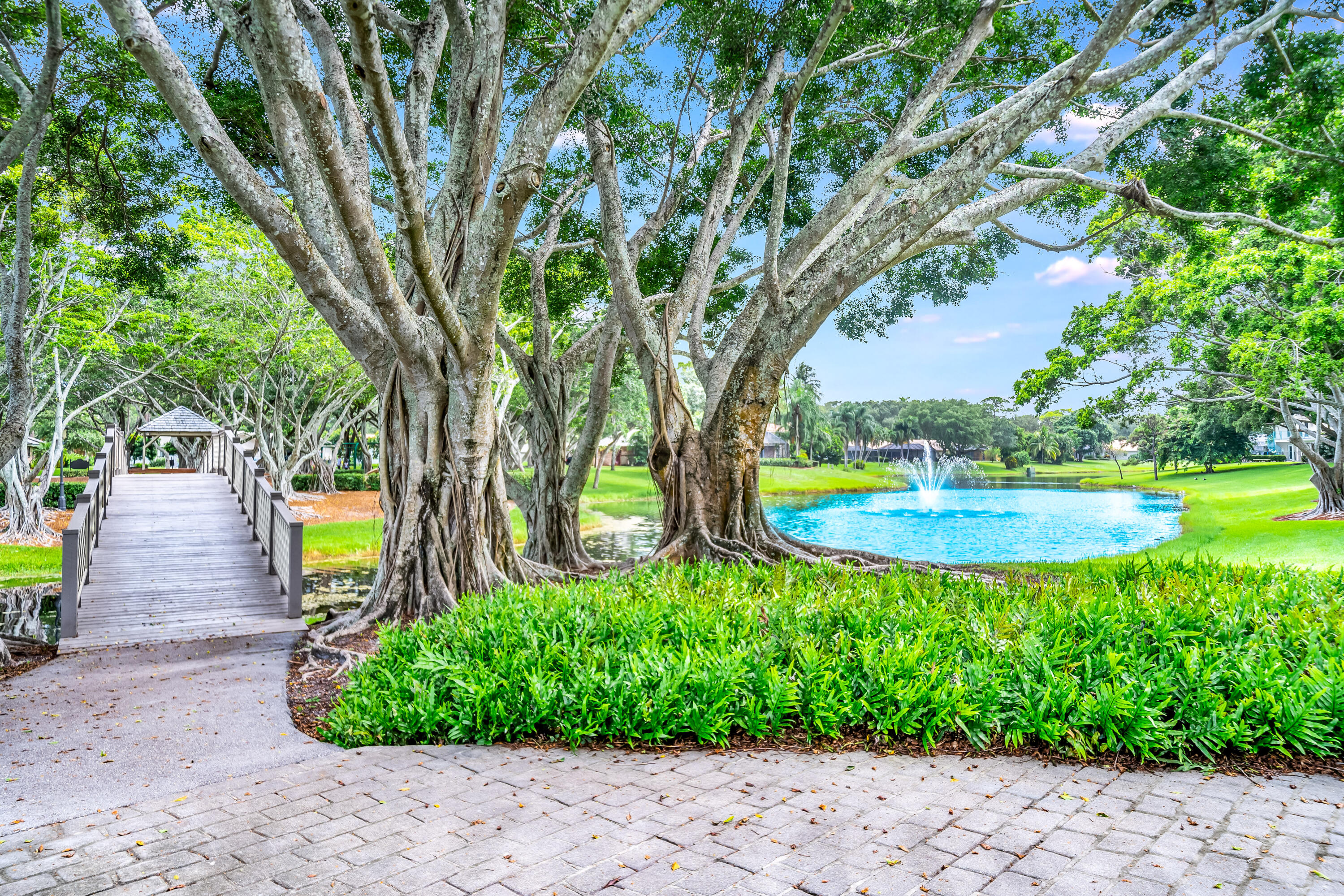 3402 Pine Haven Circle Boca Raton, FL 33431 - Photo 27 of 29 a view of swimming pool with a backyard and a patio