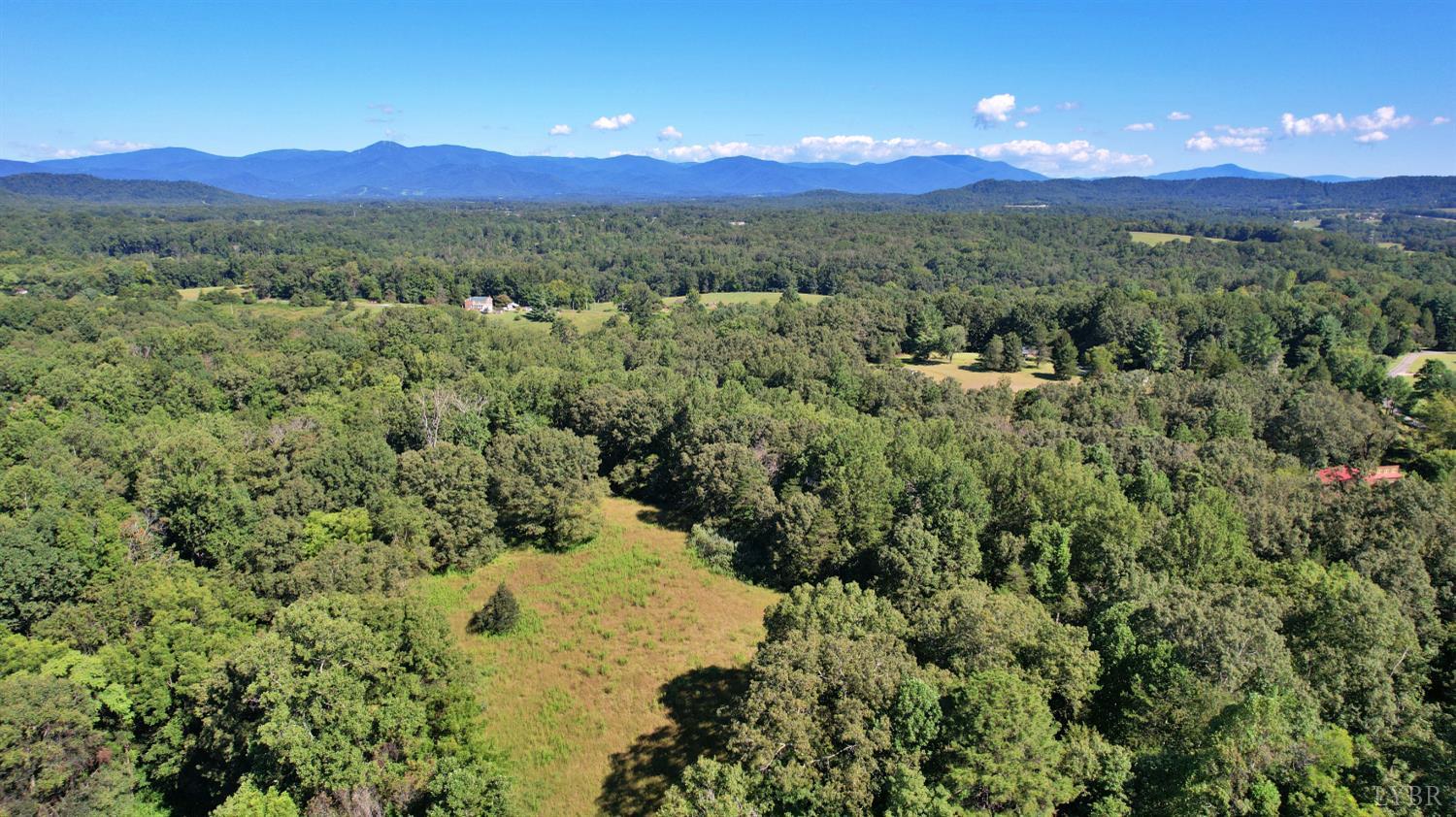 a view of a city with a forest