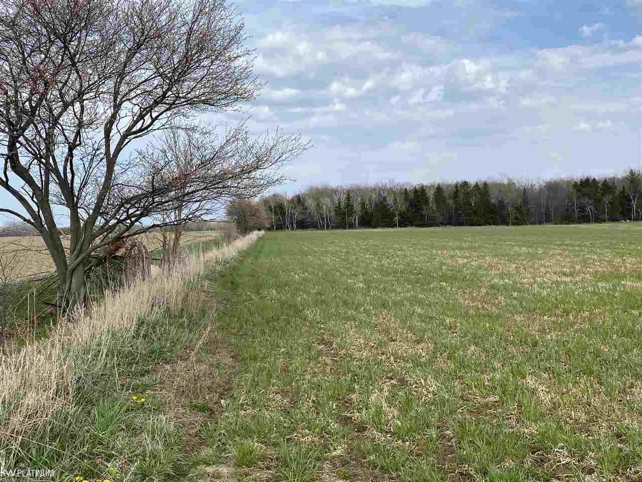 0 Mills Road Palms, MI 48427 - Photo 2 of 5