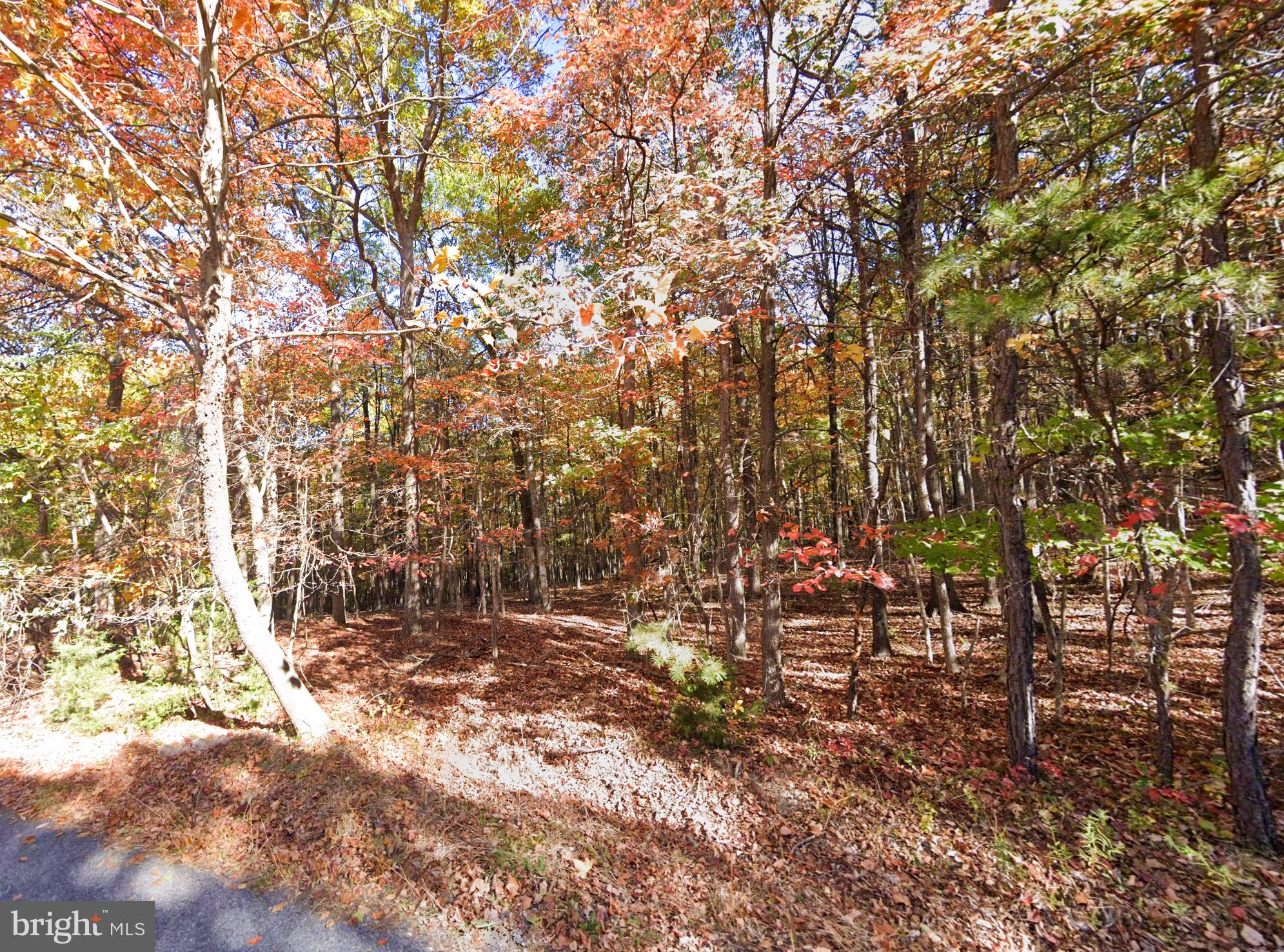 0 Baldwin Road Front Royal, VA 22630 - Photo 3 of 10 a view of tree