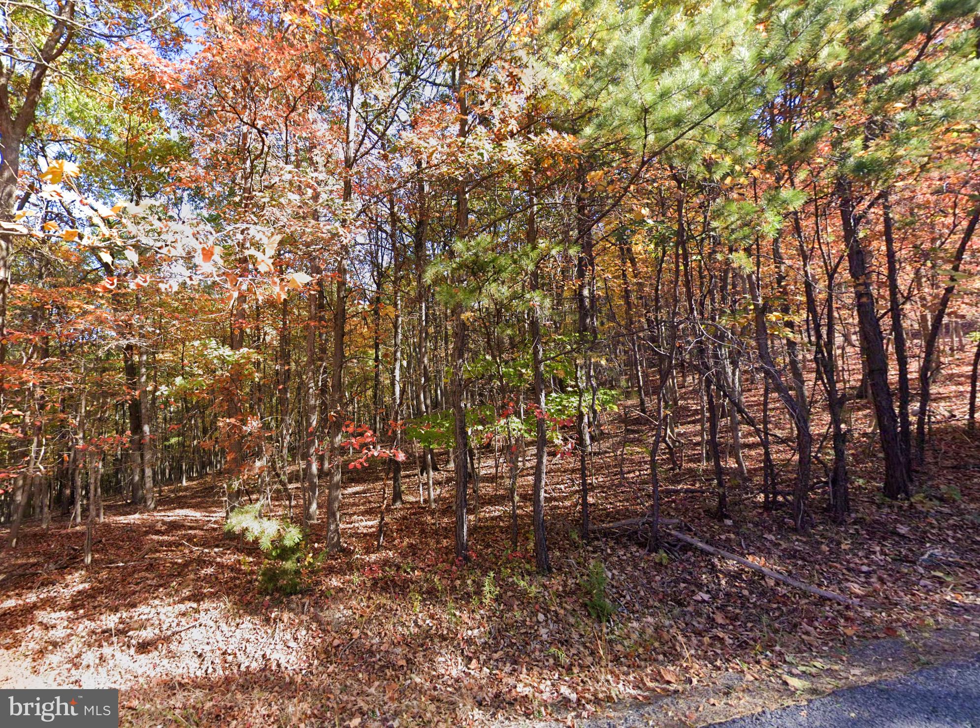 0 Baldwin Road Front Royal, VA 22630 - Photo 4 of 10 a view of outdoor space