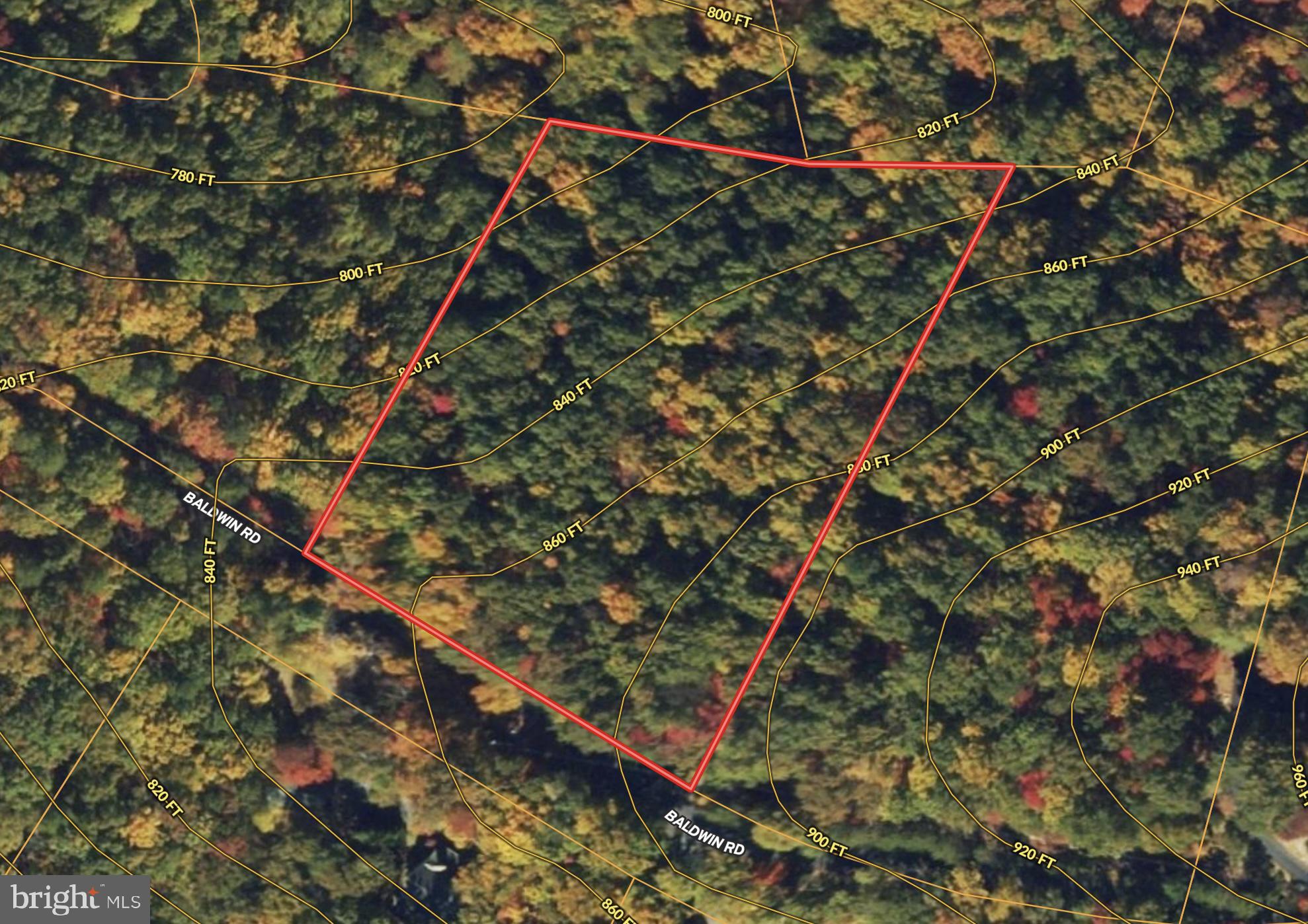 0 Baldwin Road Front Royal, VA 22630 - Photo 8 of 10 a picture of a tree