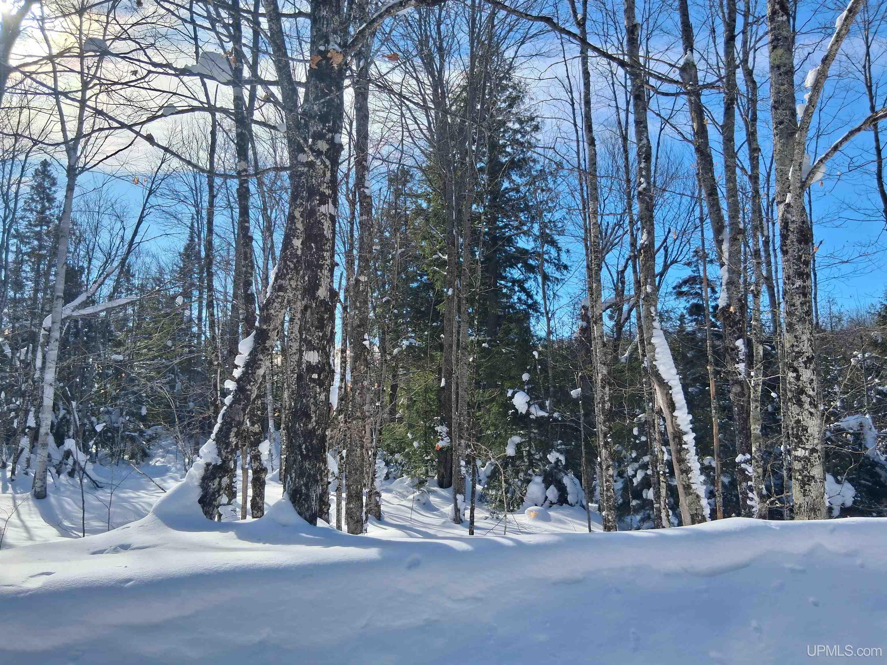 Lot 7 Fence Lake Road Republic, MI 49879 - Photo 12 of 21