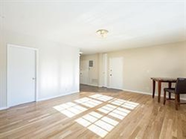 194 Lake Shore Road, Unit 1 Boston, MA 02135 - Photo 3 of 11 Gallery Image 3