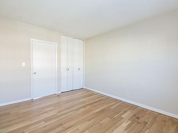 194 Lake Shore Road, Unit 1 Boston, MA 02135 - Photo 5 of 11 Gallery Image 5