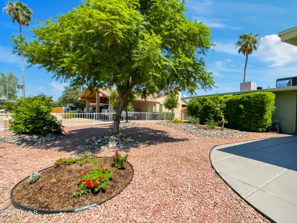 a view of a backyard