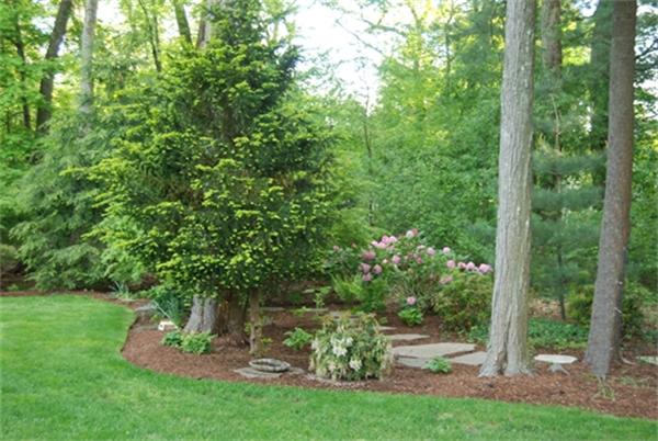 19 Southgate Road Wellesley, MA 02482 - Photo 14 of 14 a view of a back yard