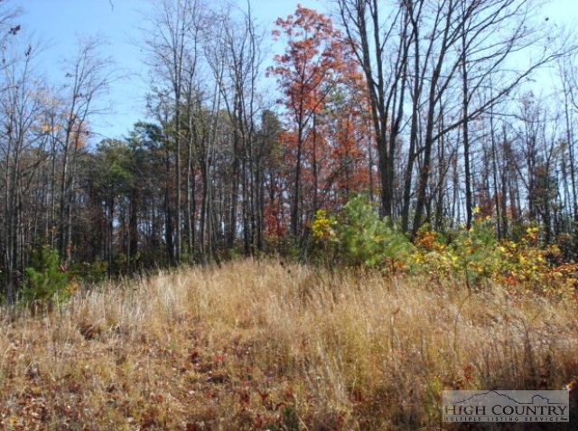 Lot #34 Green Ridge Road Deep Gap, NC 28618 - Photo 2 of 4 Gallery Image 2