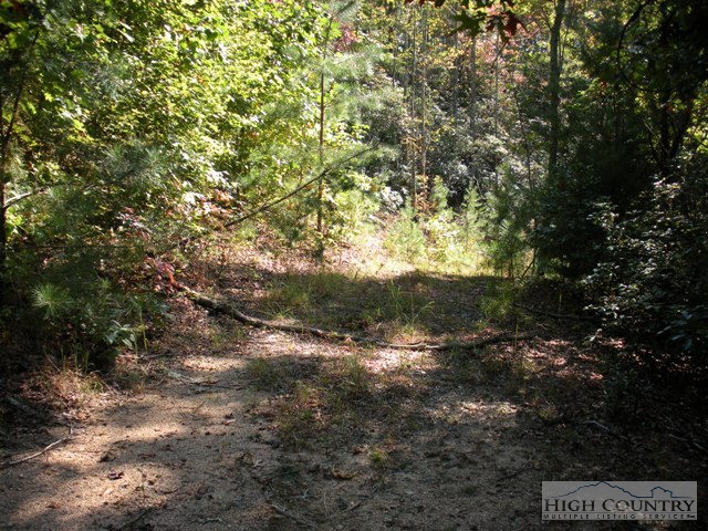 Lot #34 Green Ridge Road Deep Gap, NC 28618 - Photo 3 of 4 Gallery Image 3
