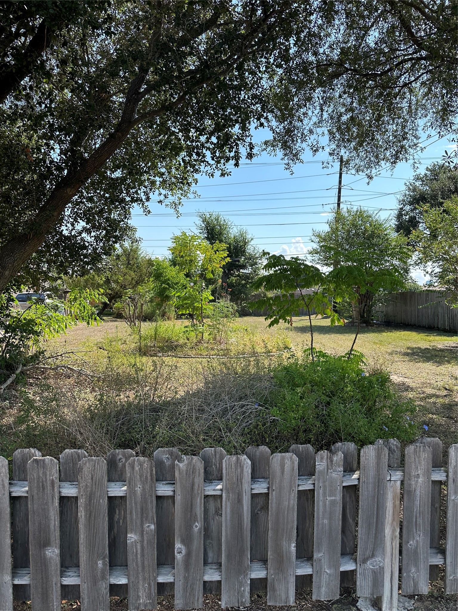 1219 Park Wind Drive Katy, TX 77450 - Photo 3 of 4