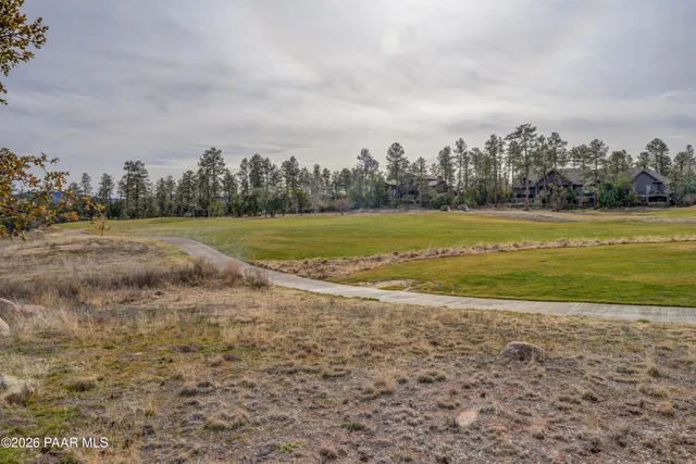 a view of a big yard