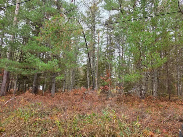 $9,500 | V/l 6-lots Battalion Boulevard, Grayling, MI 49738