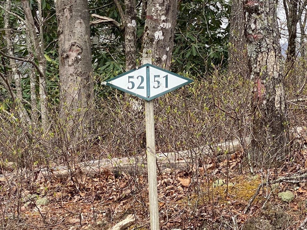 Lot 51 Ledgeview Road Cashiers, NC 28717 - Photo 13 of 15 Gallery Image 13